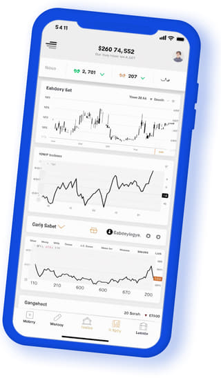 Zealhaven Ventures digital web application on mobile device